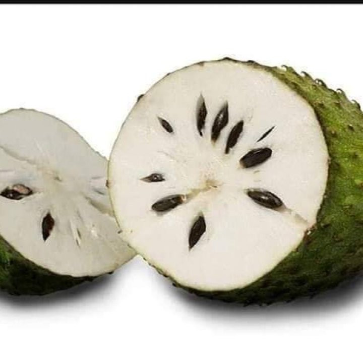 Zynergia Coffee Mangostana Graviola Good For Diabetic And Highblood Person At 285 From Pasig City Lookingfour Buy Sell Online Zynergia Coffee Mangostana Graviola Good For Diabetic And Highblood Person At 285 From Pasig City Lookingfour Buy Sell Online